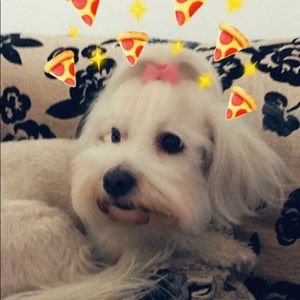 Meet your Posher, Elena